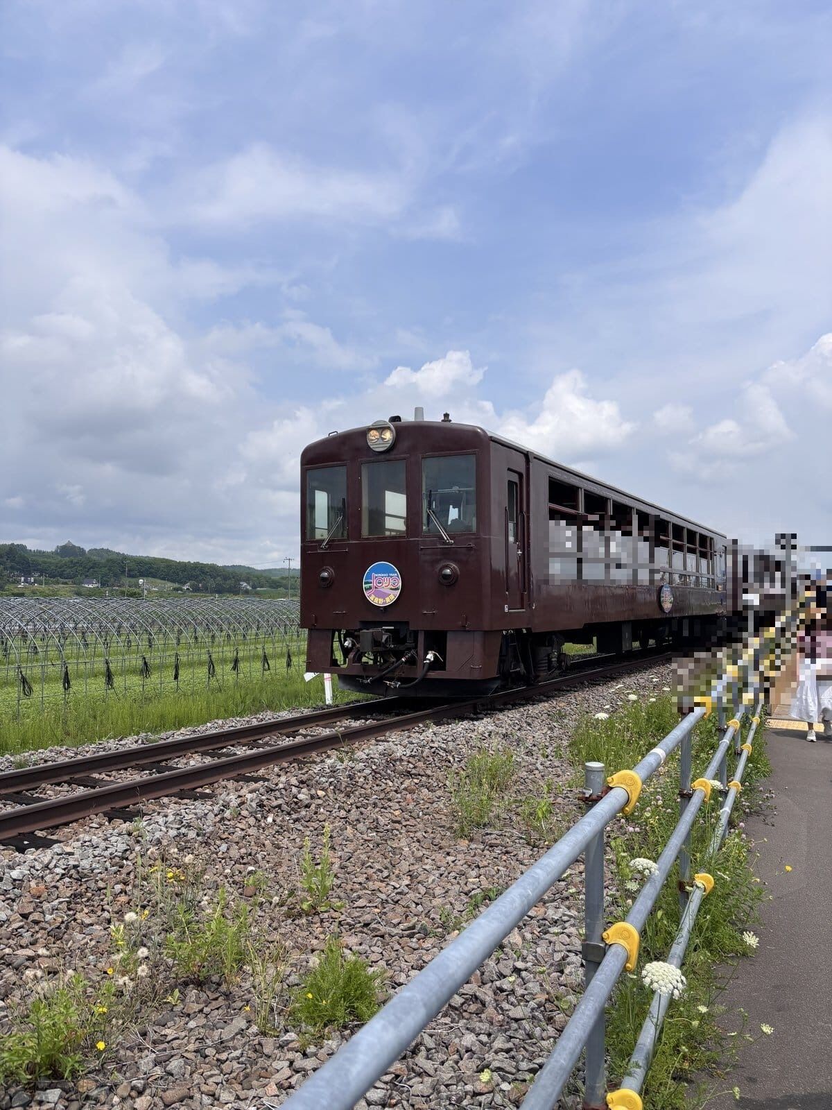 ラベンダー畑駅に停車する富良野・美瑛ノロッコ号