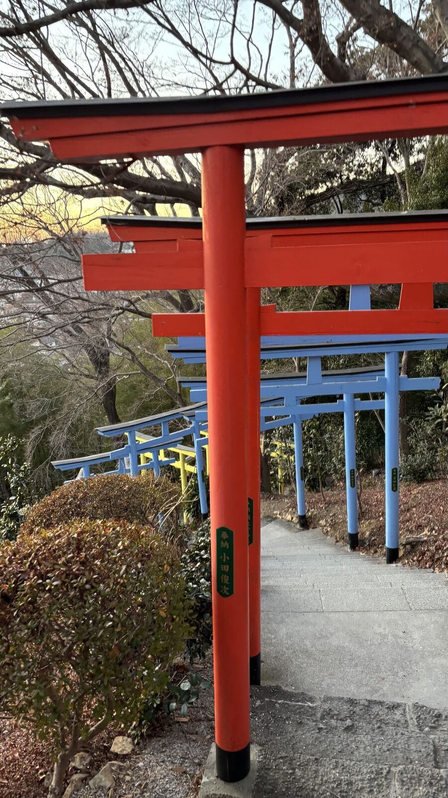 カラフルな鳥居が並ぶ足利織姫神社