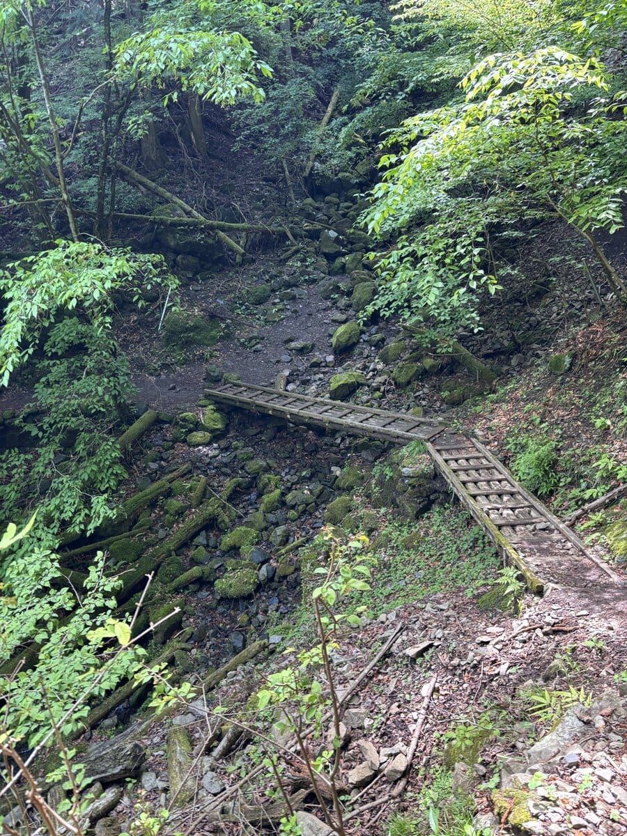 七代の滝へ下りる急こう配の木の階段