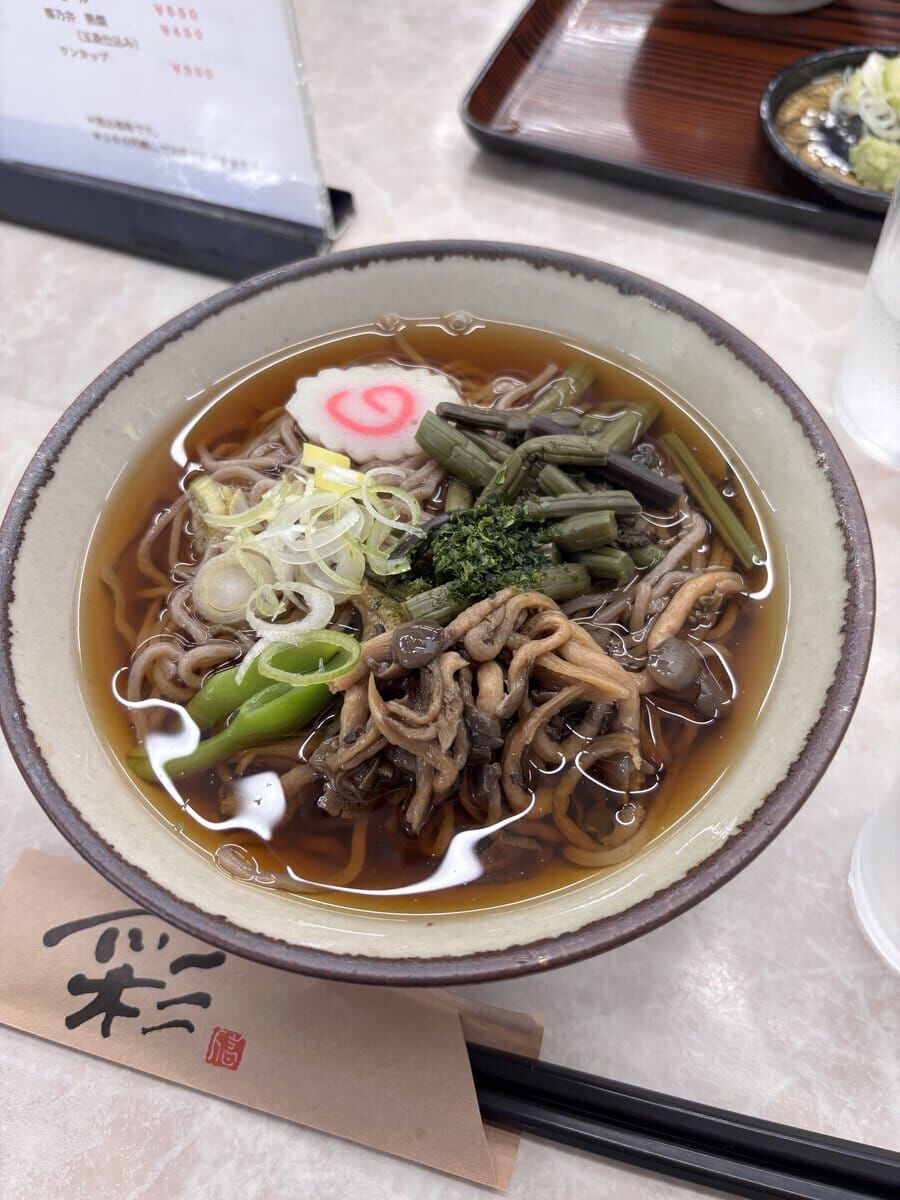 山菜がたっぷり乗った山菜そば
